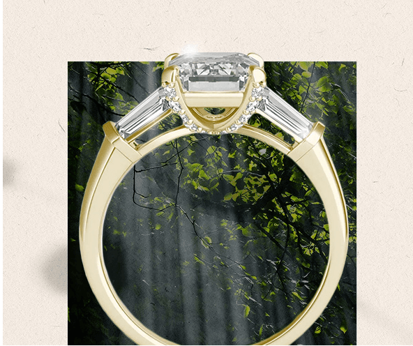 ring with nature behind it