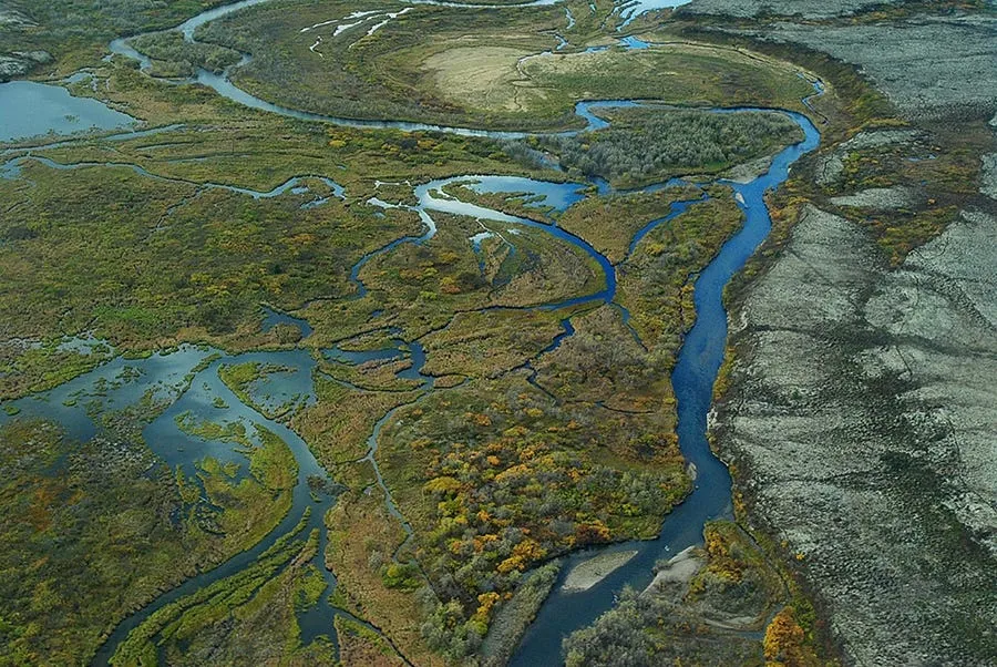 bristol bay