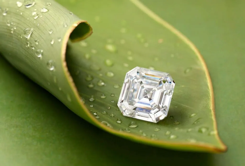 asscher on leaf