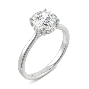 Round Hearts & Arrows Eternal Classic Hidden Halo Engagement Ring image, 