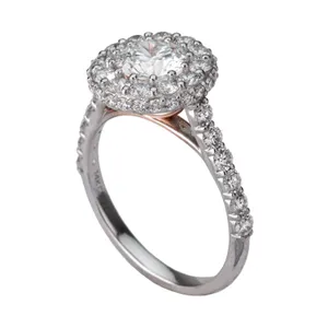 2.72 CTW Round Cathedral Double Halo Engagement Ring image, 