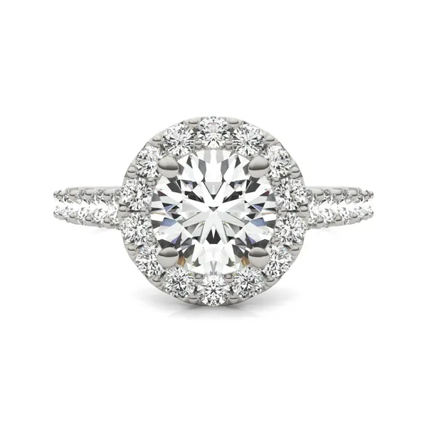 2 1/2 CTW Round Caydia Lab Grown Diamond Shared Prong Halo Engagement Ring 18K White Gold