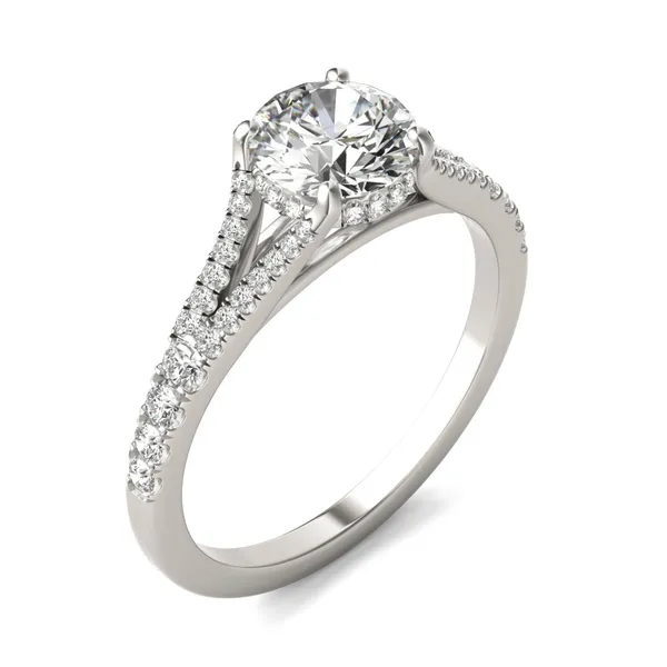 1 1/3 CTW Round Caydia Lab Grown Diamond Split Shank Hidden Halo Ring Platinum
