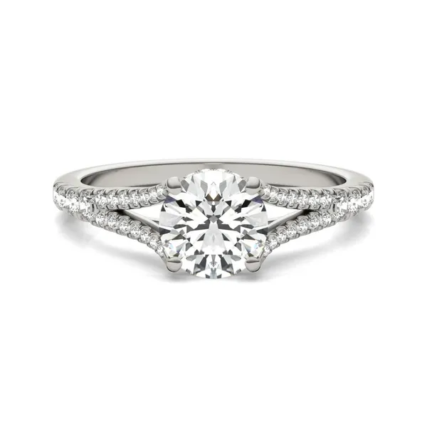 1 1/3 CTW Round Caydia Lab Grown Diamond Split Shank Hidden Halo Ring Platinum