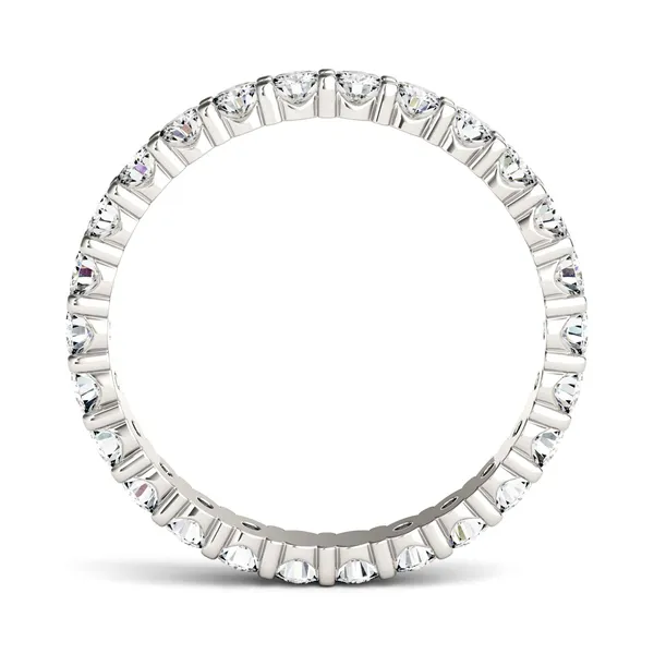 Serene Shared Prong Eternity Band