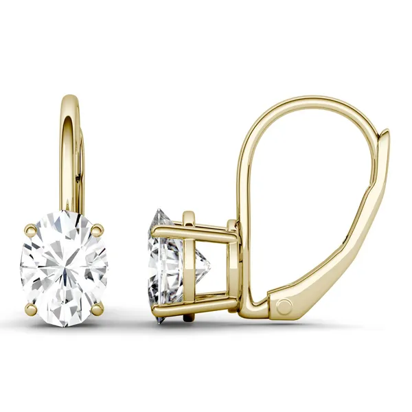 Oval Zoe Drop Earrings