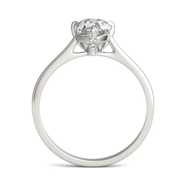 Claw prong new arrivals