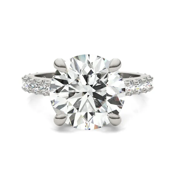 Round Brilliant Claw Prong Cathedral Side-Stone Exotic Engagement Ring