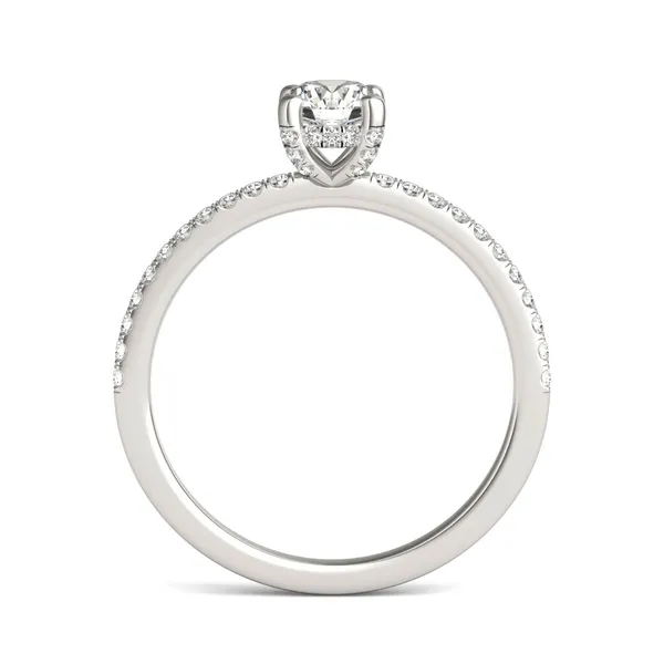 Round Brilliant Hope Hidden Halo Engagement Ring