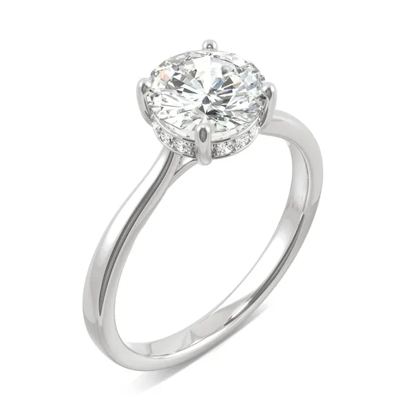 Round Hearts & Arrows Eternal Classic Hidden Halo Engagement Ring