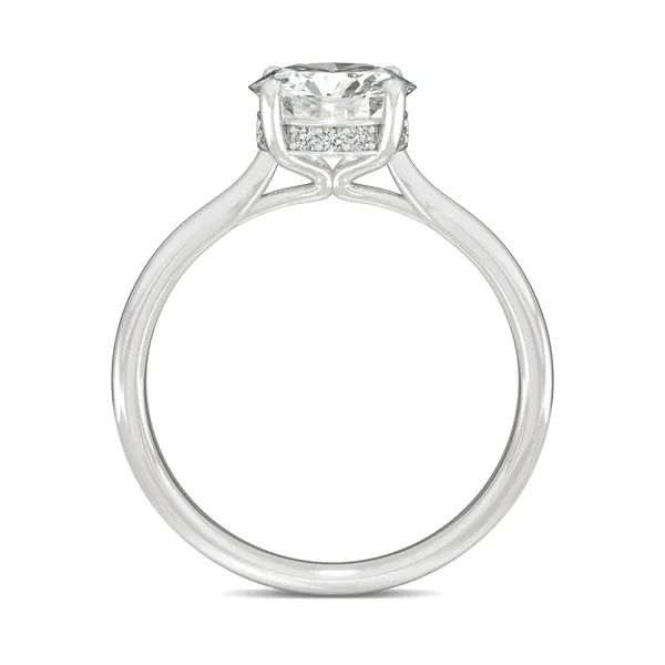 Round Hearts & Arrows Eternal Classic Hidden Halo Engagement Ring