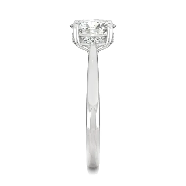 Round Hearts & Arrows Eternal Classic Hidden Halo Engagement Ring