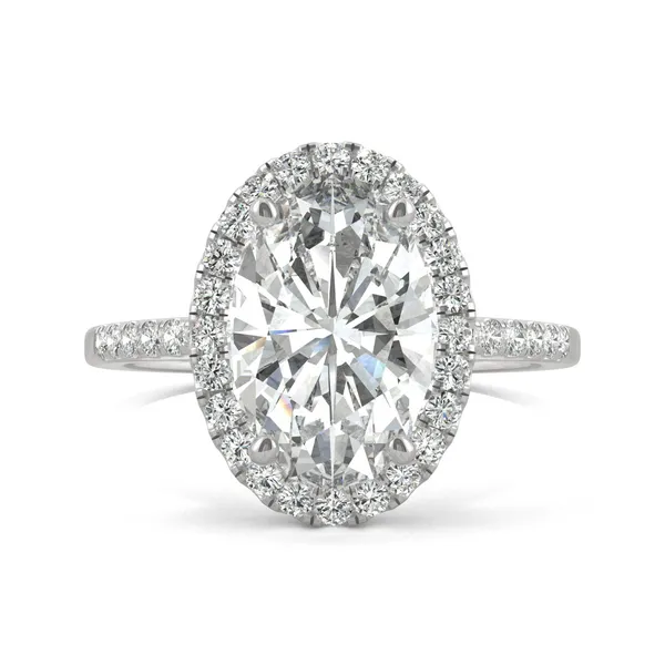 Elongated Oval Eden Halo