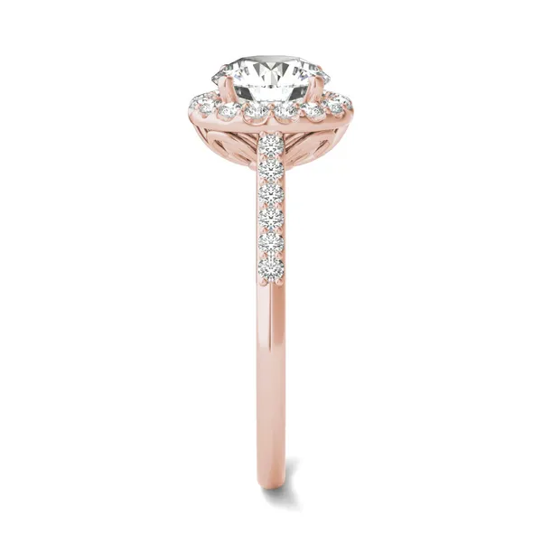 Round Brilliant Signature Accented Halo Engagement Ring