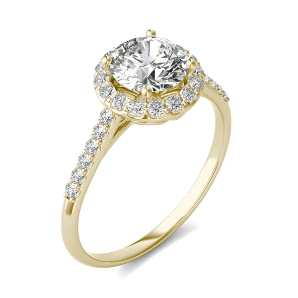 Round Brilliant Signature Accented Halo Engagement Ring