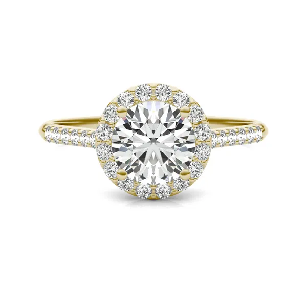 Round Brilliant Signature Accented Halo Engagement Ring