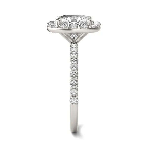 Cushion Elevated Halo