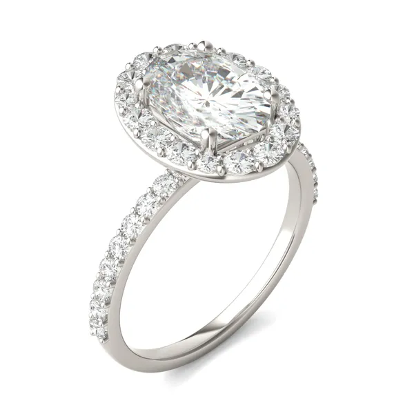 Elongated Oval Elevated Halo Engagement Ring