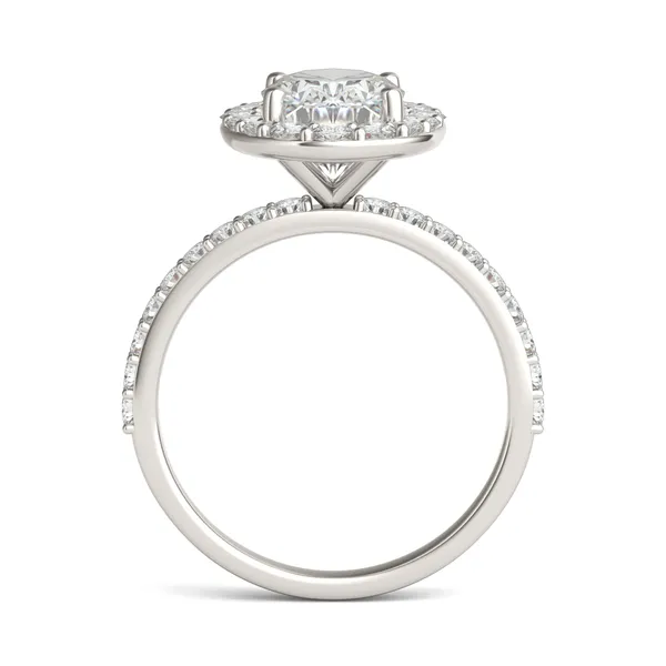 Elongated Oval Elevated Halo Engagement Ring