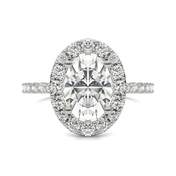 Elongated Oval Elevated Halo Engagement Ring