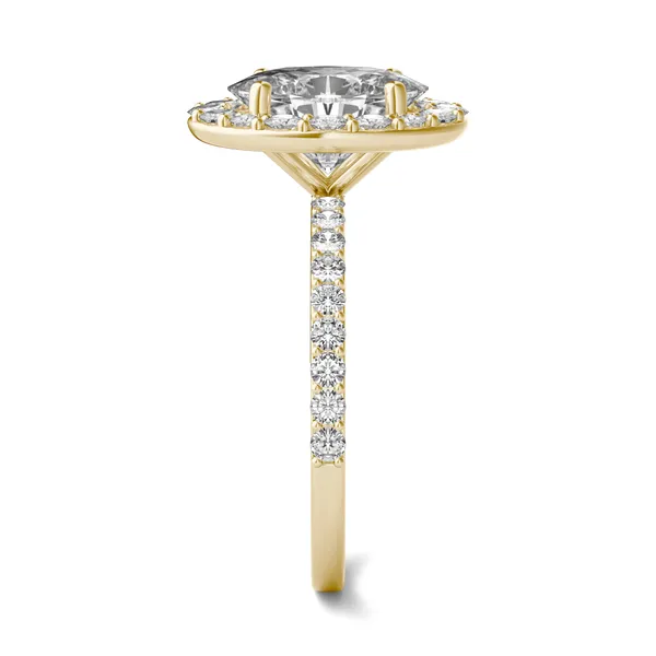 Elongated Oval Elevated Halo