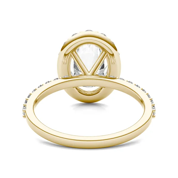 Elongated Oval Elevated Halo