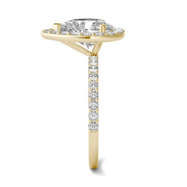 Pear Elevated Halo