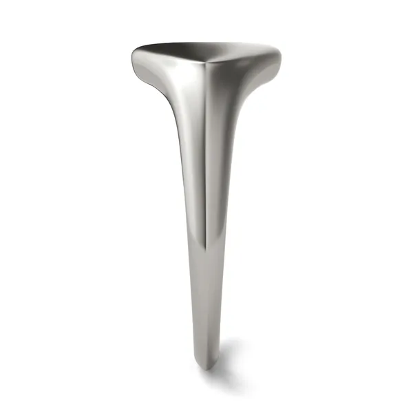 Signature Kite Initial Signet Ring