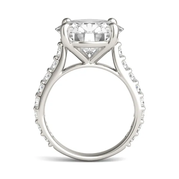 Round Brilliant Claw Prong Cathedral Side-Stone Exotic Engagement Ring