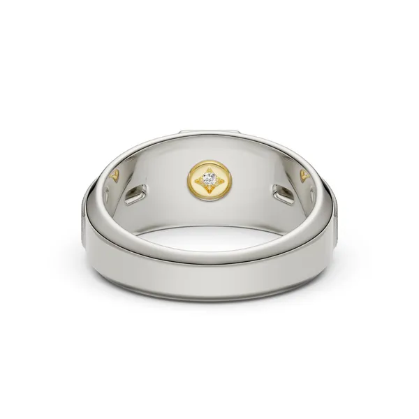 Princess Hero Signature Solitaire Men's Wedding Ring